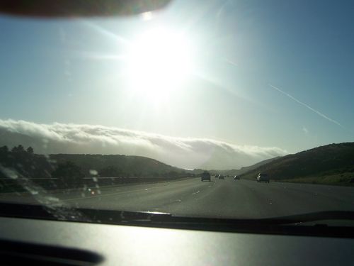 San Andreas Fault (palo-alto_picture057.jpg) wird geladen. Eindrucksvolle Fotos von der Westküste Amerikas erwarten Sie.